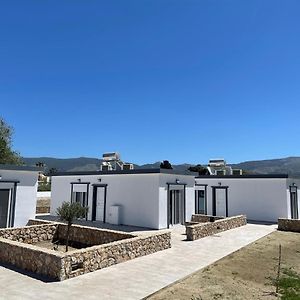 Deluxe Bungalow